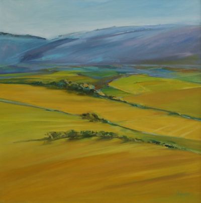 Tartan Fields 2